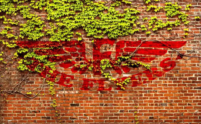 The Flyers Logo on a brick wall